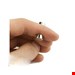  آهن ربا N42 8X5